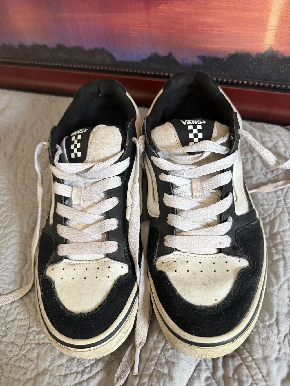 Vans men’s Black & White Low-Top Skate Sneakers